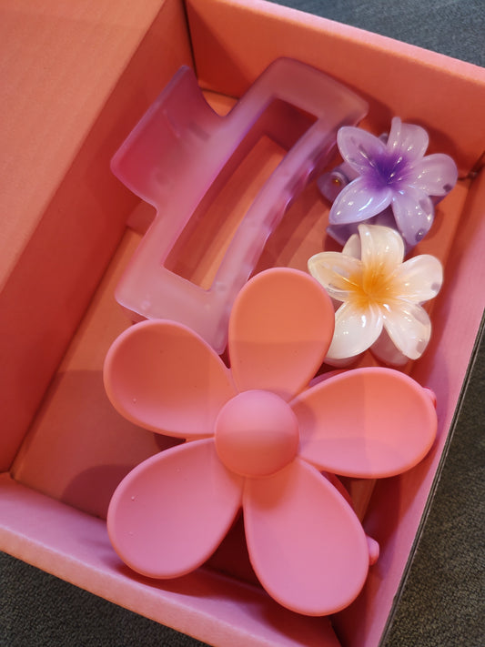 Mystery Claw Clip Boxes